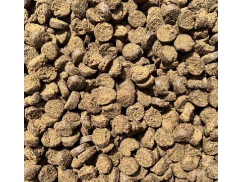 Authentic gold balanced dog (kimérve/kg) Authentic gold balanced dog (kimérve/kg)