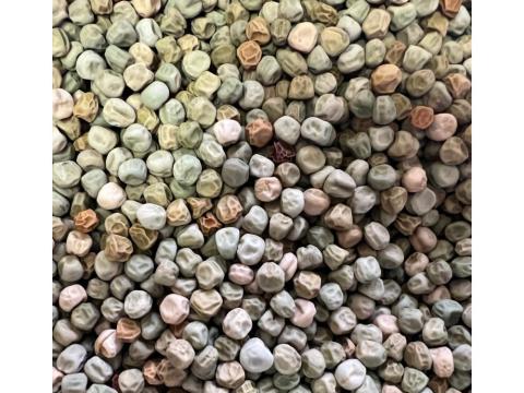 Takarmány velőborsó (kimérve/kg)