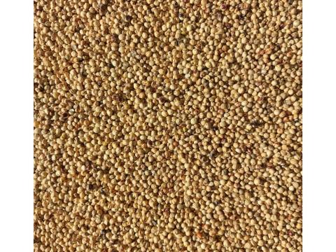 Fehér cirok (kimérve/kg) Fehér cirok (kimérve/kg)