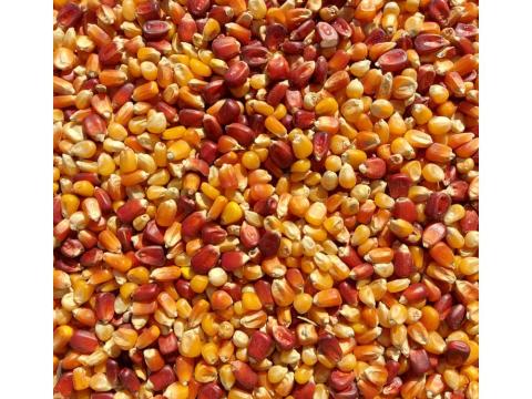 Kukorica mix (kimérve/kg) Kukorica mix (kimérve/kg)