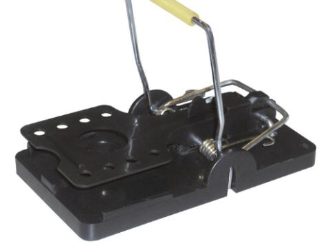 SNAPPER patkányfogó