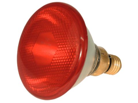 KERBL ECO infraizzó, 175 W - piros KERBL ECO infraizzó, 175 W - piros