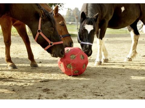 Heuboy szénalabda - piros Heuboy szénalabda - piros