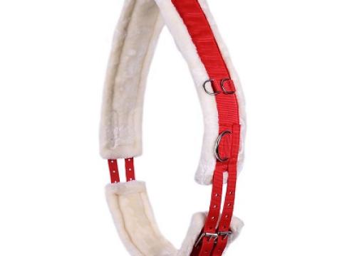 Ontario futószárazós heveder gurtniból - élénkvörös , cob Ontario futószárazós heveder gurtniból - élénkvörös , cob