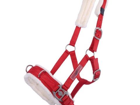 Colour futószárazós kapicán gurtniból - élénkvörös , full Colour futószárazós kapicán gurtniból - élénkvörös , full