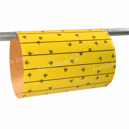 FlyMaster légyfogó lap 6 db 595x300 mm