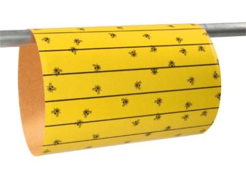 FlyMaster légyfogó lap 6 db 595x300 mm FlyMaster légyfogó lap 6 db 595x300 mm