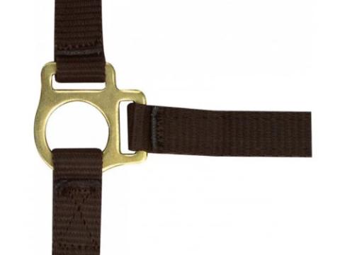 Csikókötőfék - barna