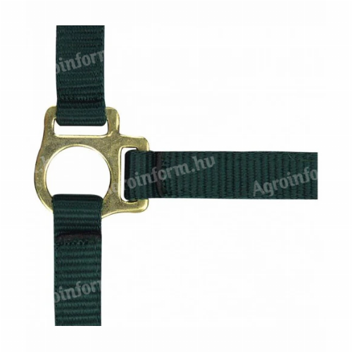 Csikókötőfék - sötétzöld