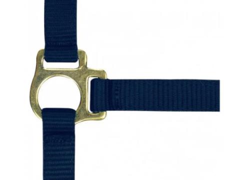 Csikókötőfék - királykék