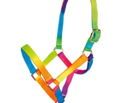 Szivárványszínű póni kötőfék