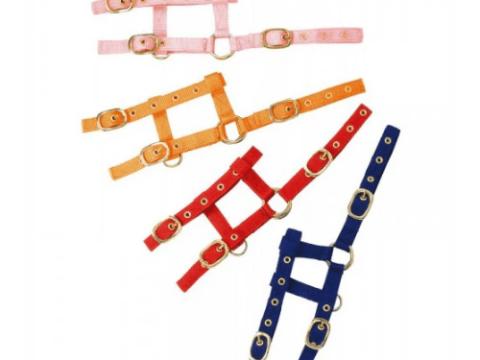 “Mini” shetland vagy shetland-csikóra való kötőfék - királykék “Mini” shetland vagy shetland-csikóra való kötőfék - királykék