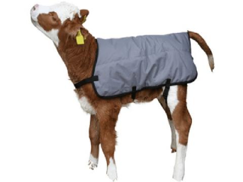 Borjú takaró két méretben - 80 cm Borjú takaró két méretben - 80 cm