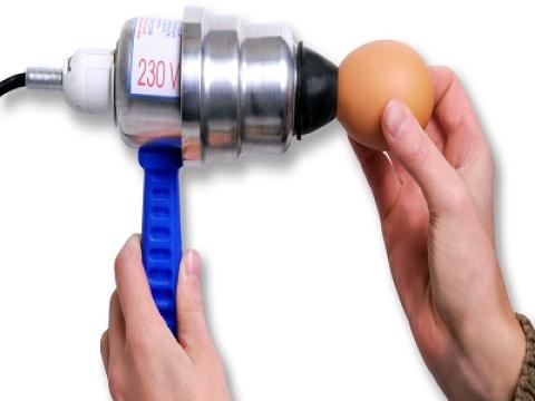 Tojáslámpázó 220 V Tojáslámpázó 220 V