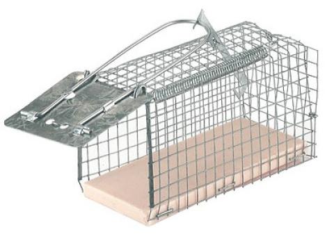 Drótketreces egércsapda Drótketreces egércsapda