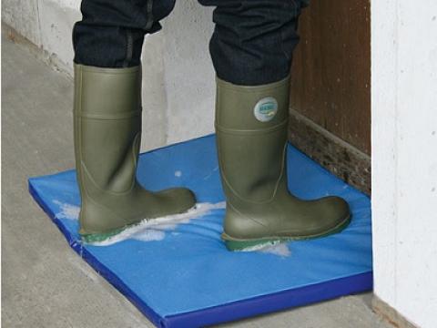 Belépő szőnyeg, 85x60 cm Belépő szőnyeg, 85x60 cm