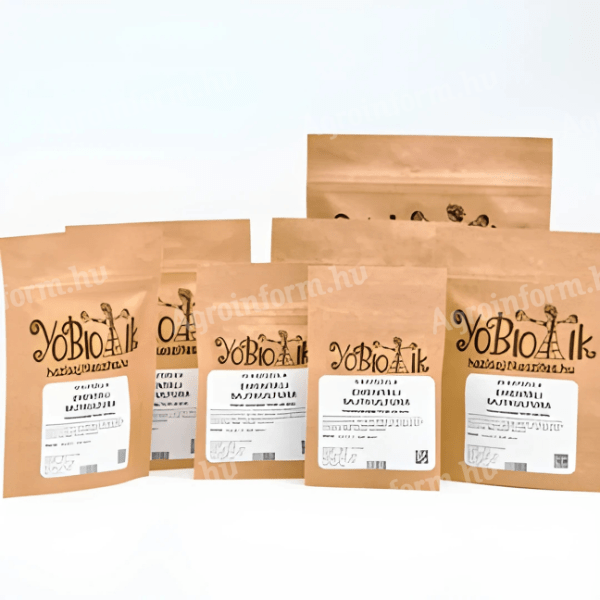 Sajtkultúrák - Krémsajt