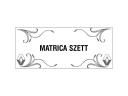 Matricaszett 4db-os oldalablakra kamion típusokkal