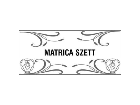 Matricaszett 4db-os oldalablakra kamion típusokkal Matricaszett 4db-os oldalablakra kamion típusokkal