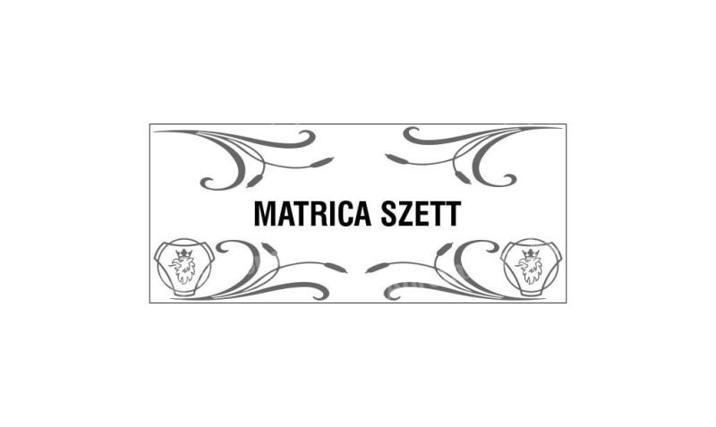 Matricaszett 4db-os oldalablakra kamion típusokkal
