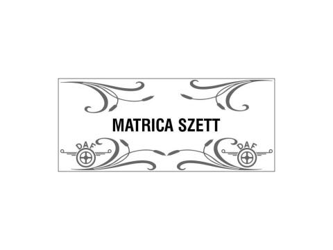 Matricaszett 4db-os oldalablakra kamion típusokkal Matricaszett 4db-os oldalablakra kamion típusokkal