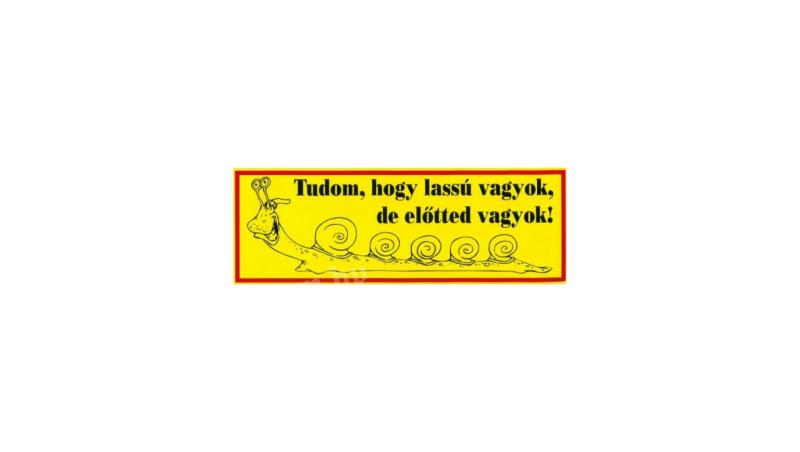 Matrica Tudom, hogy lassú vagyok ...