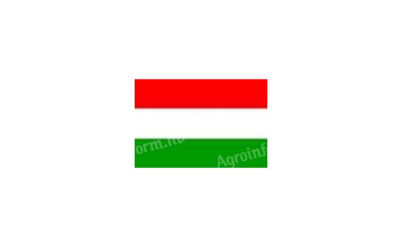 Névtáblához Magyar zászló matrica