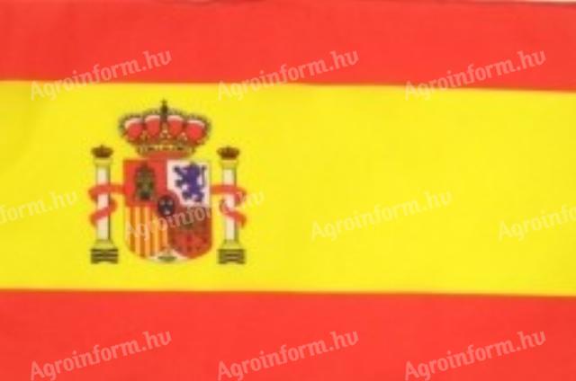 Zászló autós nyeles Spanyol (30x45cm)