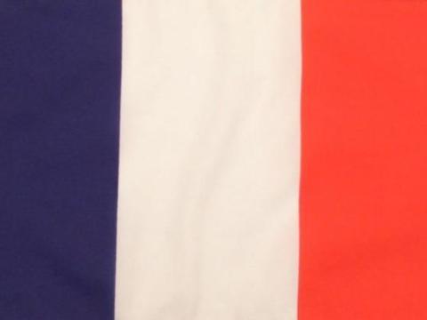 Zászló autós nyeles Francia (30x45cm)