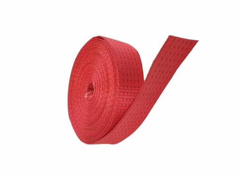 Spanifer gurtni Spanifer gurtni