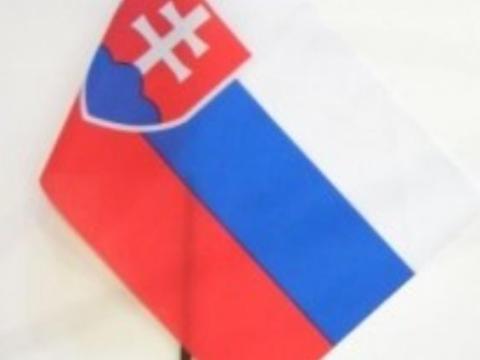 Zászló autós nyeles (30x45cm)