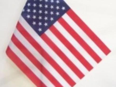 Zászló autós nyeles (30x45cm) Zászló autós nyeles (30x45cm)