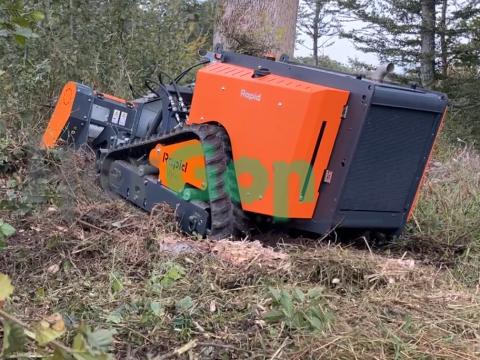 Rapid RoboFlail Vario D501 Rapid RoboFlail Vario D501