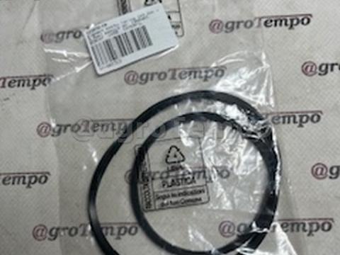 123972 CARRARO O-gyűrű