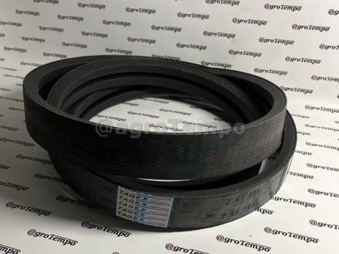 Z61151 Tagex Ékszíj, effektív hossza 3091 mm