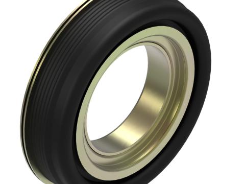 RE208256 John Deere szimering