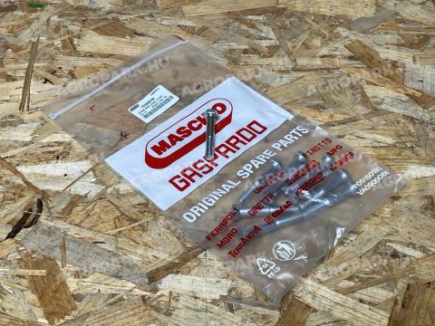 Maschio Gaspardo - Csavar M8X1,25X50 10.9GD - F01020074R