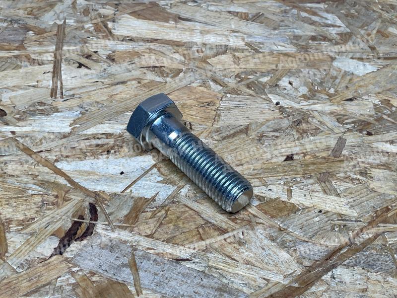 Maschio Gaspardo - Csavar M24X3X80 10.9GD - F01020343R