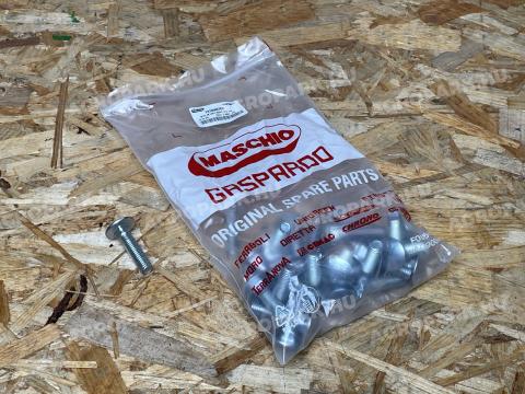 Maschio Gaspardo - Csavar M10X1,5X40 8.8 GV - F01060076R Maschio Gaspardo - Csavar M10X1,5X40 8.8 GV - F01060076R