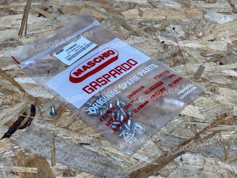 Maschio Gaspardo - Csavar M4X0,7X10 - F01080032R Maschio Gaspardo - Csavar M4X0,7X10 - F01080032R