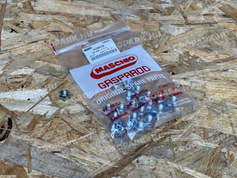 Maschio Gaspardo - Anya M8X1,25 8 GV - F01220022R