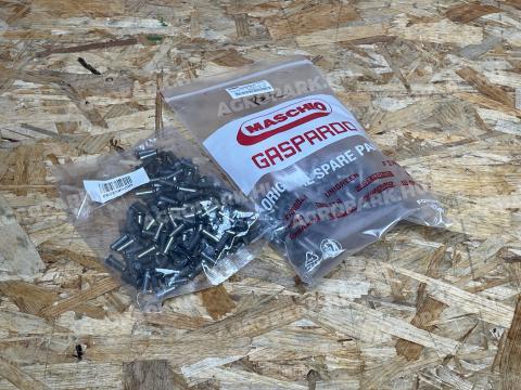 Maschio Gaspardo - PACK RIVETS TSC 6X19,8 QTY 154 - F02250520R Maschio Gaspardo - PACK RIVETS TSC 6X19,8 QTY 154 - F02250520R