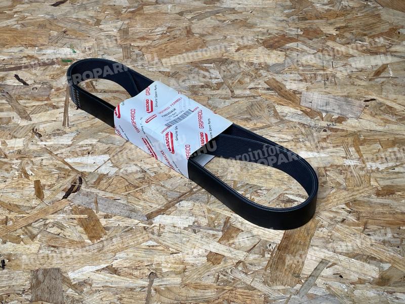 Maschio Gaspardo - BELT- POLY V  1016 J-16 GOLE - F06010161R