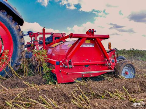 ÚJ GRIMME Toppa 400 4 soros szárzúzó, 75 cm sortáv, hidraulikus magasságállítás, 82 kalapács,