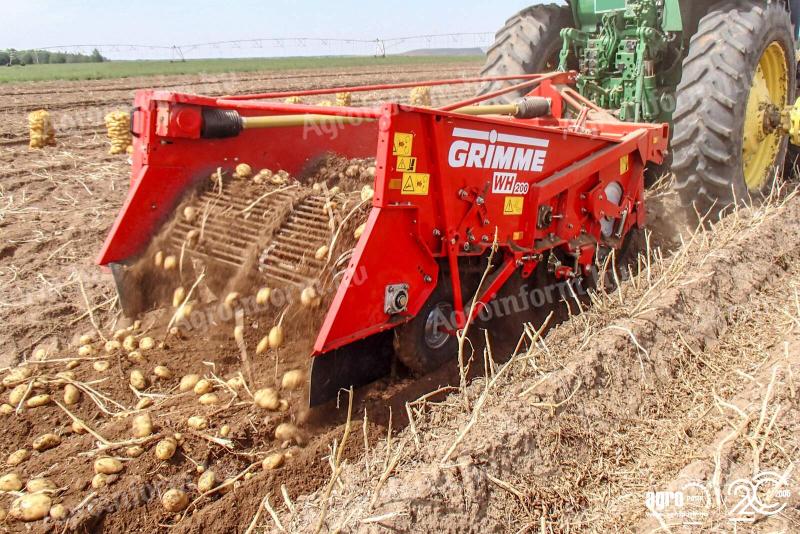 ÚJ GRIMME WH 200 vontatott kétsoros burgonyaszedő gép, 75 cm sortávolság, 58 cm bemeneti szélesség, 4 rugós tárcsás csoroszlya