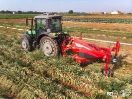 ÚJ GRIMME VT 170 1,7 m munkaszélességű hagymazúzó gép, hidraulikus magasságállítás, tartalék késkészlet