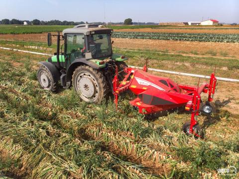 ÚJ GRIMME VT 170 1,7 m munkaszélességű hagymazúzó gép, hidraulikus magasságállítás, tartalék késkészlet