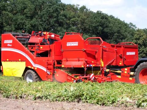 ÚJ GRIMME SE 150-60 vontatott, kétsoros burgonya betakarítógép, UB típusú XXL leválasztó, 6.000 kg bunkerkapacitás, légfék, kamerarendszer 4 kamerával ÚJ GRIMME SE 150-60 vontatott, kétsoros burgonya betakarítógép, UB típusú XXL leválasztó, 6.000 kg bunkerkapacitás, légfék, kamerarendszer 4 kamerával