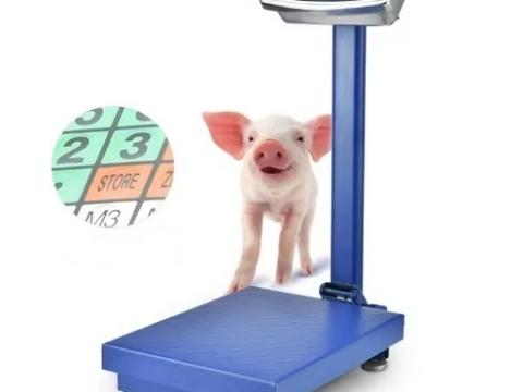 LD-Agro A 30x40cm - Raktári, ipari mérleg, zsákmérleg (150kg, 50g)
