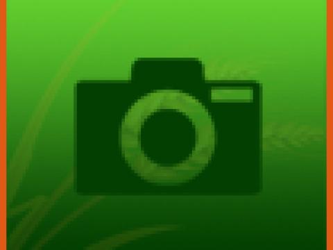 LDBC-06 Precíziós mérleg LDBC-06 Precíziós mérleg